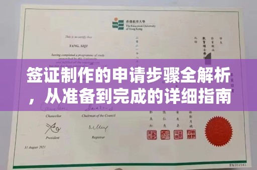 新乡签证制作的申请步骤全解析，从准备到完成的详细指南